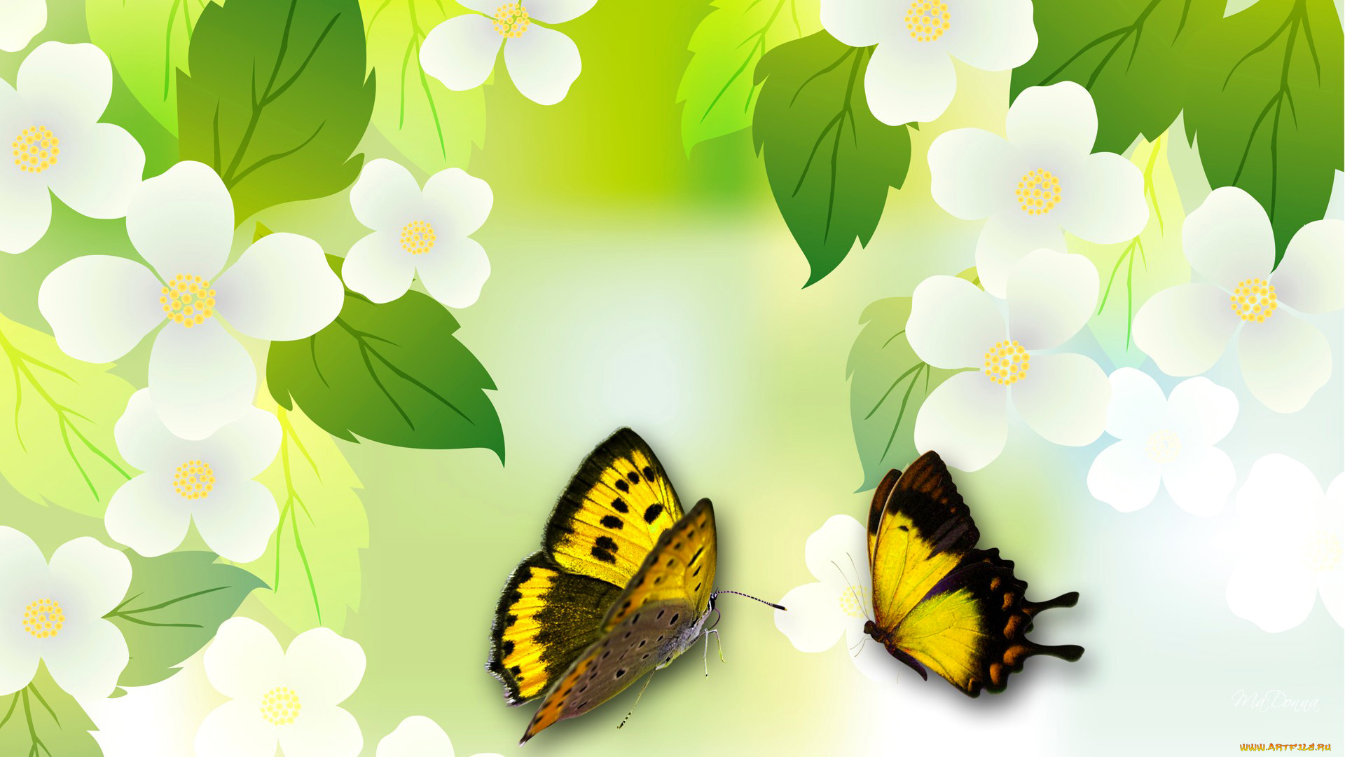 ,  , , , , , 